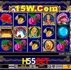 H55Bet São Paulo - Jogo Providers